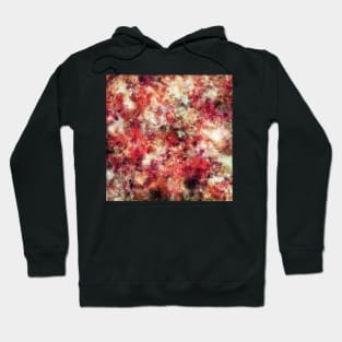 To the edge Hoodie